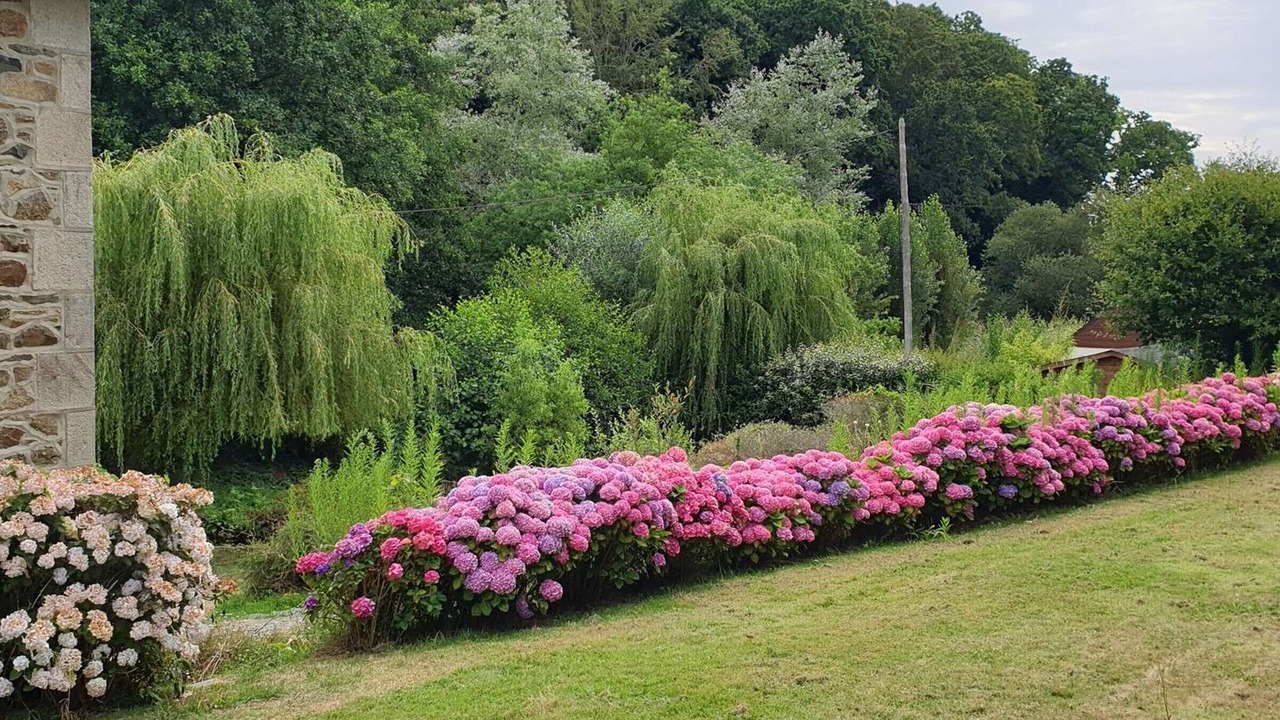 Photo of Outdoor in Cite