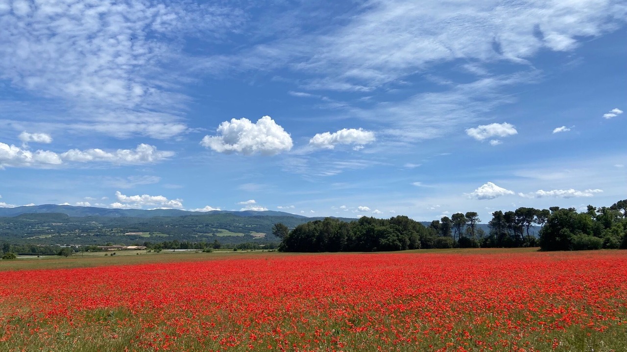 Photo of Outdoor in Roussillon