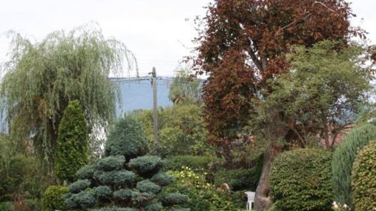 Photo of Outdoor in Saulcy-sur-Meurthe