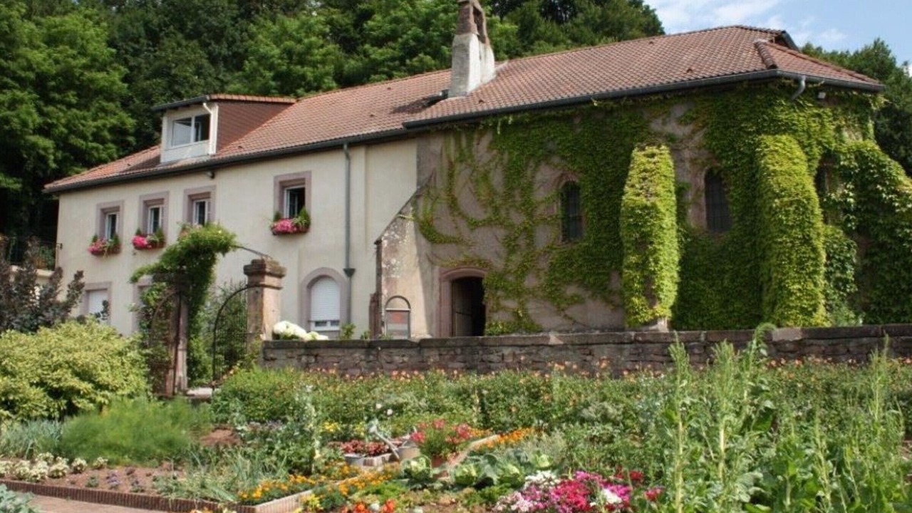 Photo of Outdoor in Saint-Die