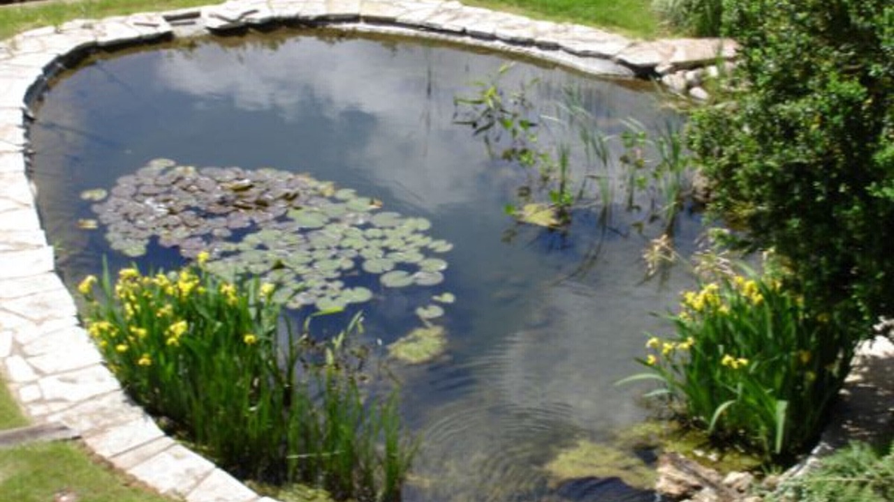 Photo of Outdoor in Saint-Die