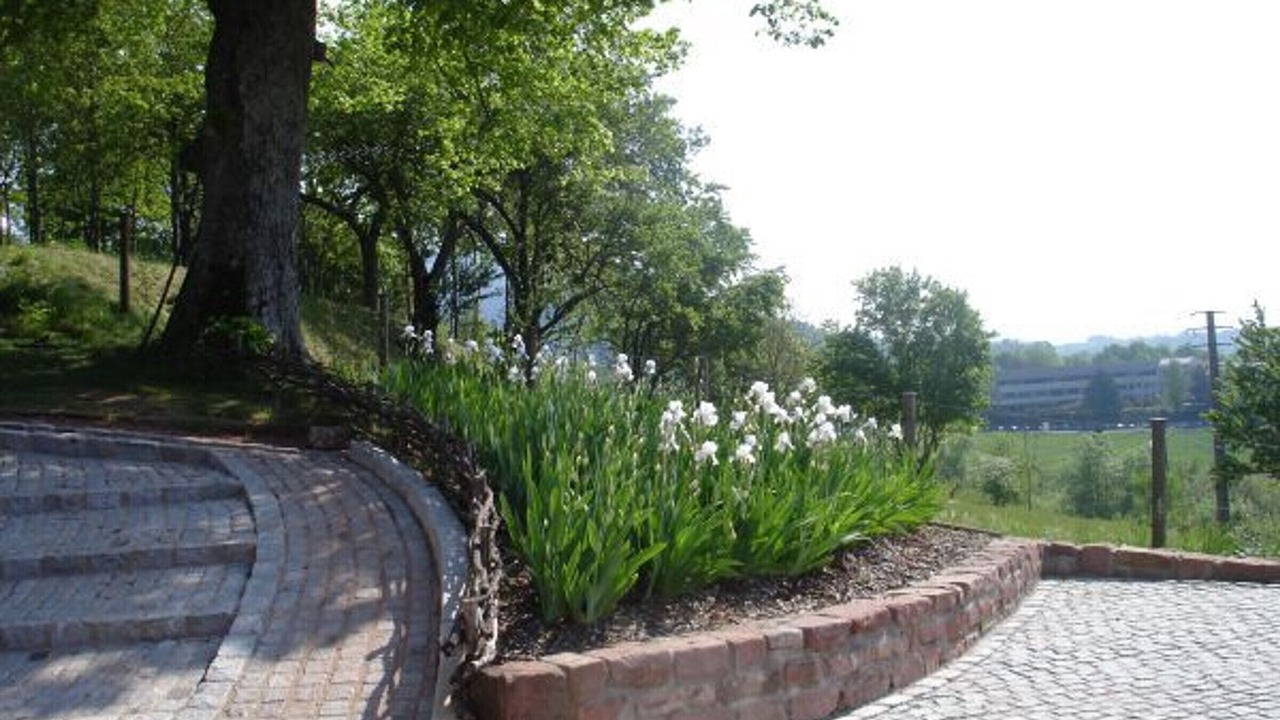Photo of Outdoor in Saint-Die