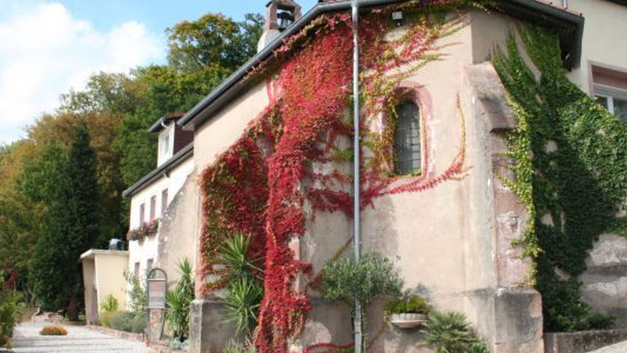 Photo of Outdoor in Saint-Die