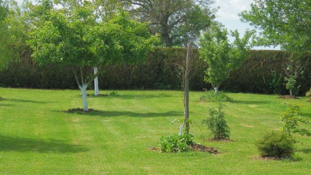 Photo of Outdoor in Lironcourt