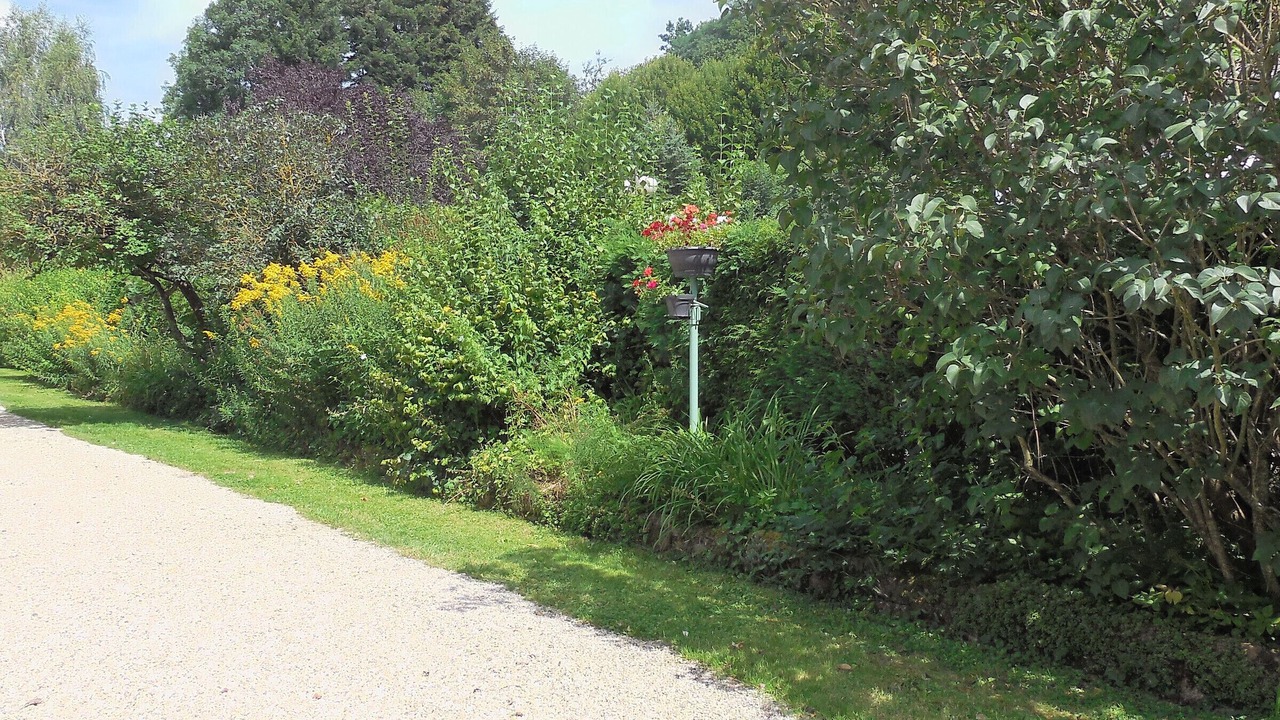 Photo of Outdoor in Saint-Die