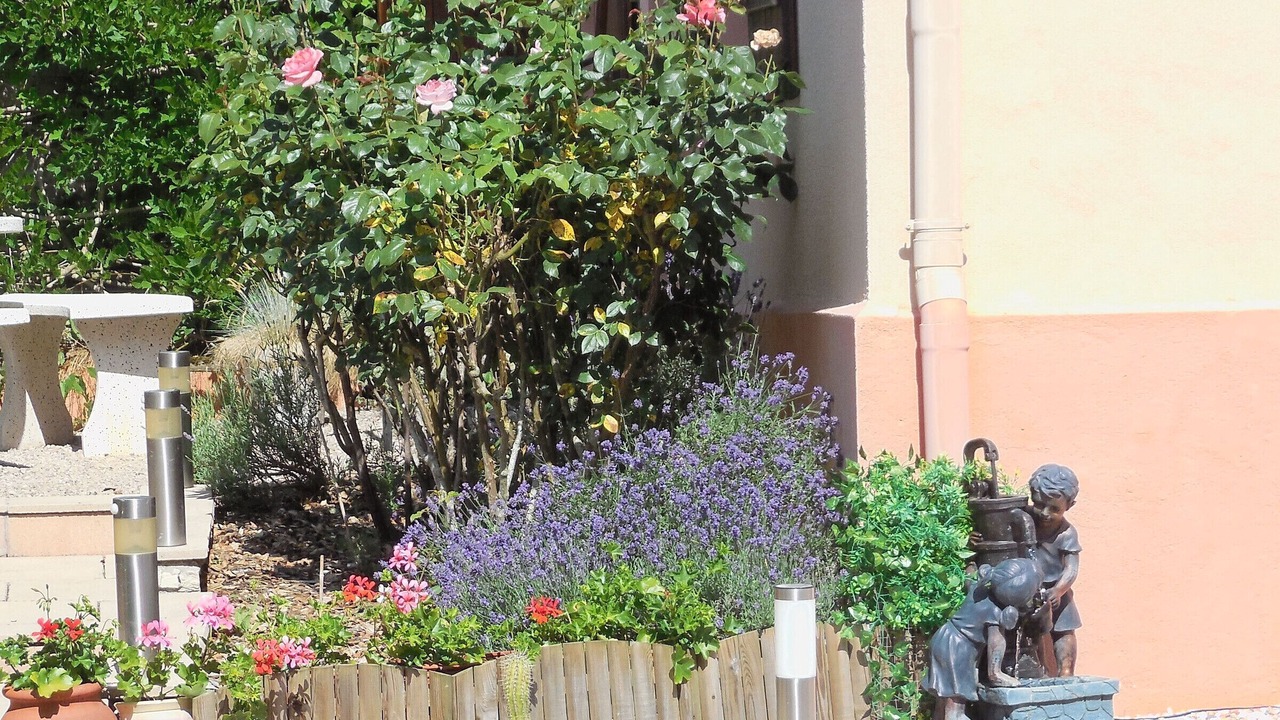 Photo of Outdoor in Saint-Die