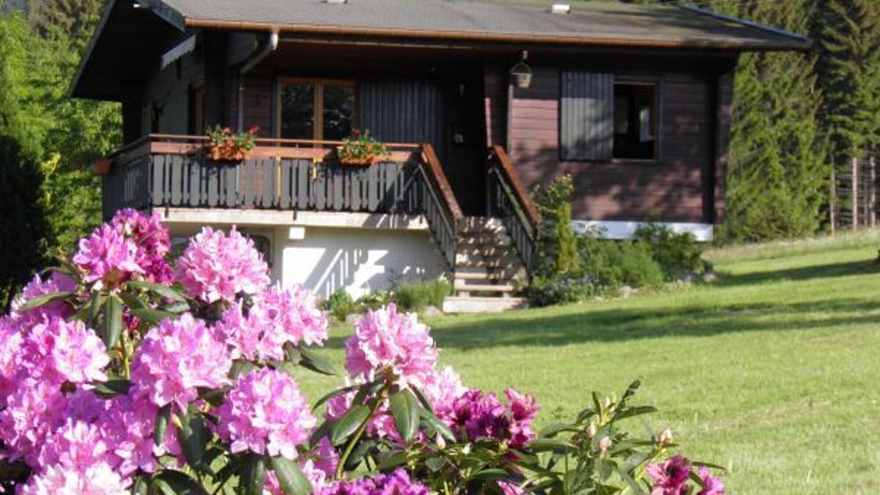 Photo of Outdoor in Le Grand Valtin