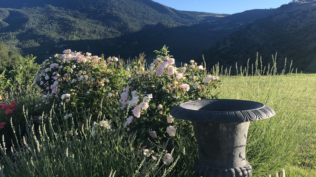 Photo of Outdoor in Saint-Andre-les-Alpes