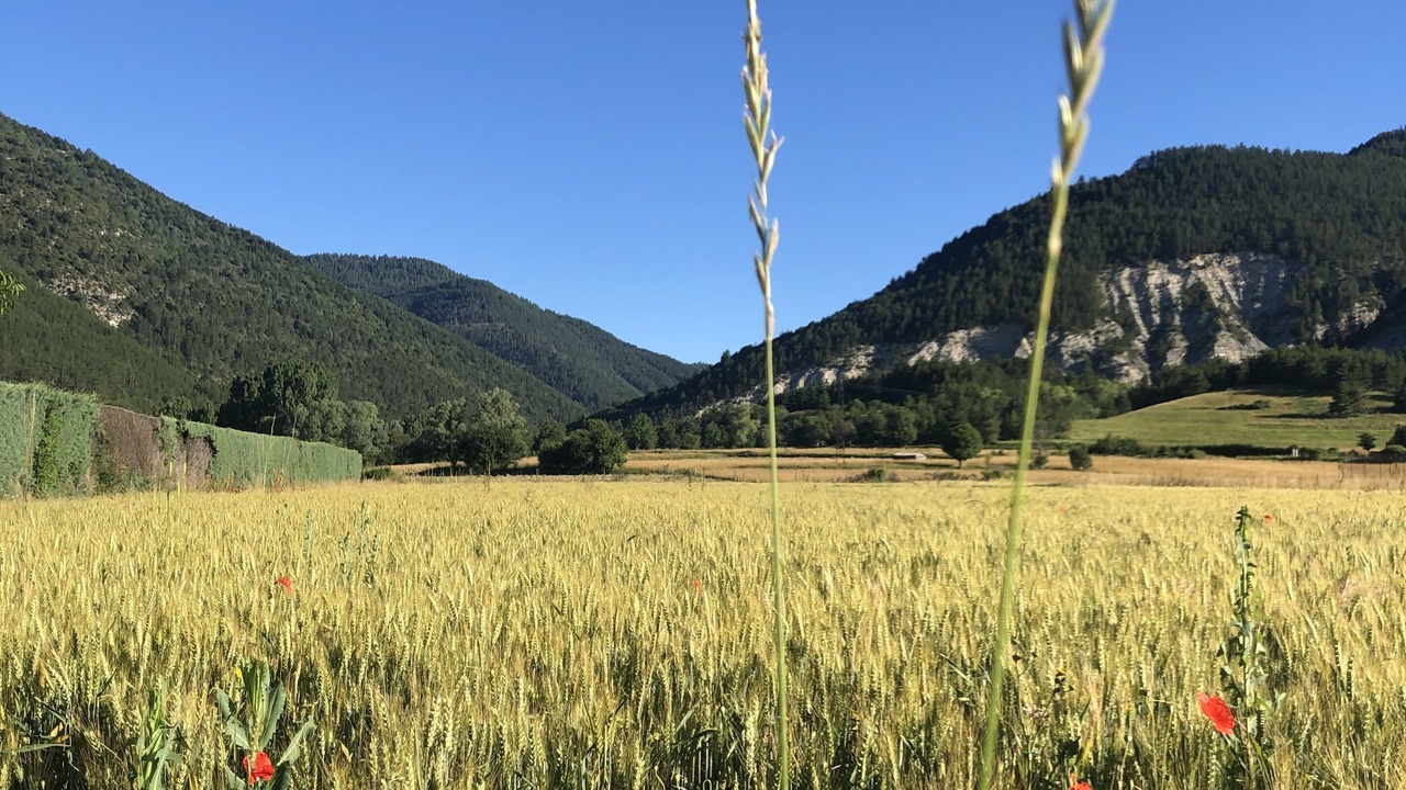 Photo of Outdoor in Saint-Andre-les-Alpes