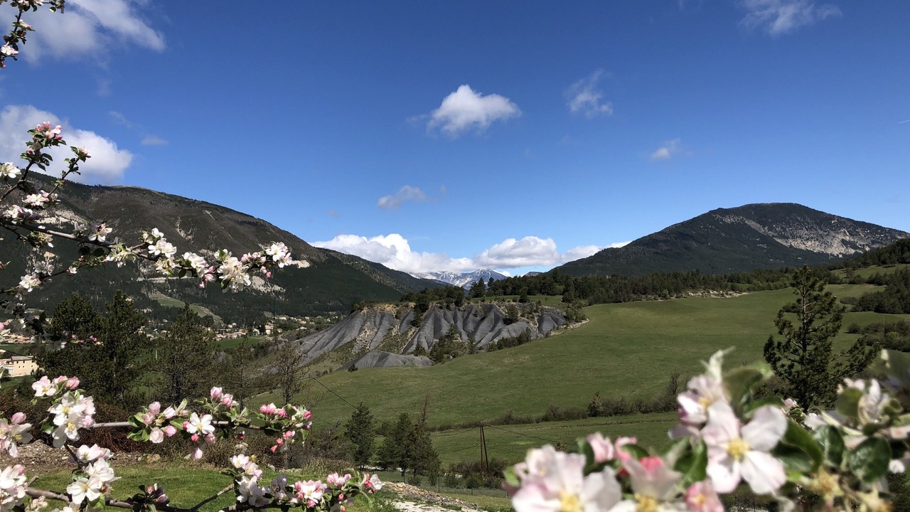 Photo of Outdoor in Saint-Andre-les-Alpes