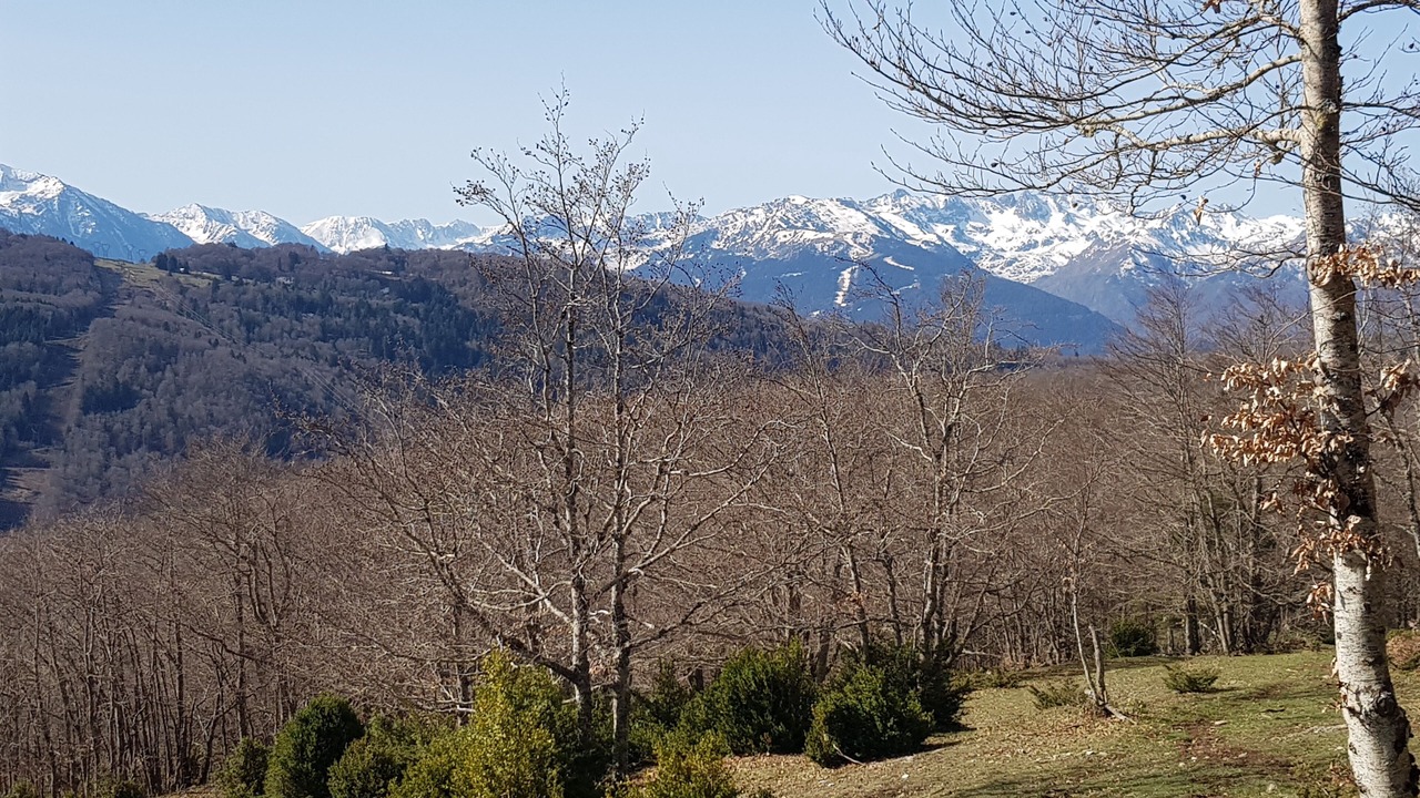 Photo of Outdoor in Camurac