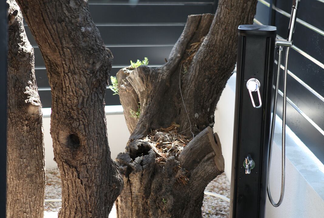 Photo of Outdoor in Bandol