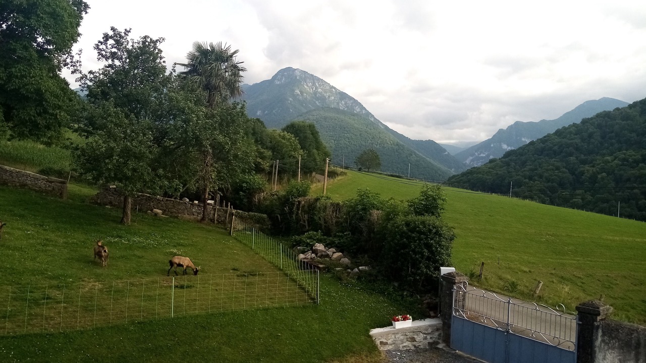 Photo of Outdoor in Asson