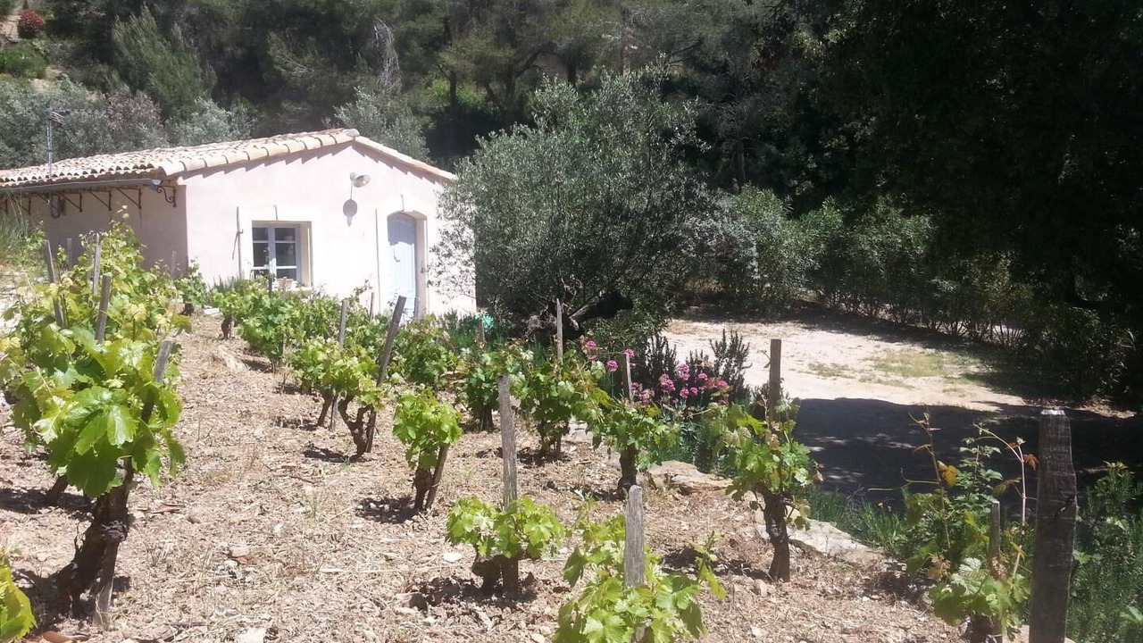 Photo of Outdoor in La Cadiere-d'Azur