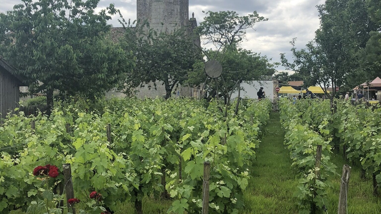 Photo of Outdoor in Saint-Aubin-de-Medoc