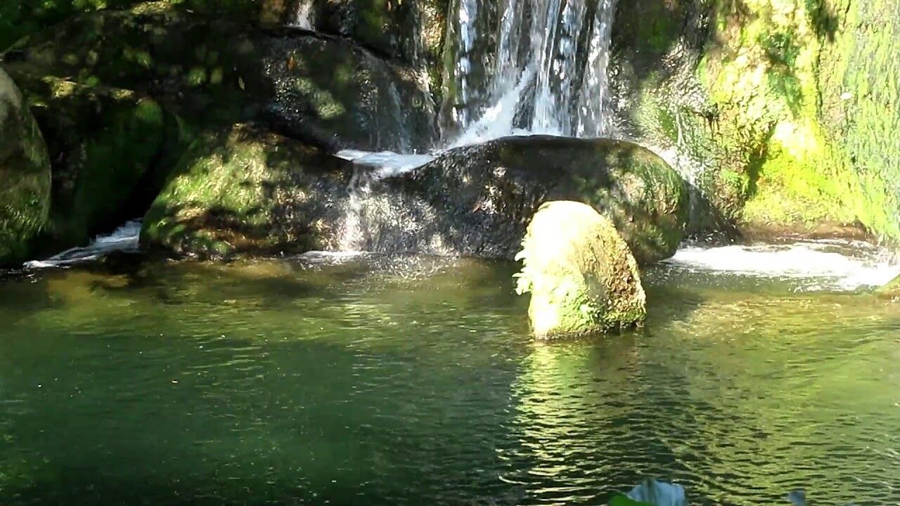 Photo of Others in Sollies Pont