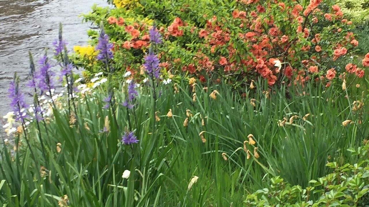 Photo of Outdoor in Belle-Isle-en-Terre