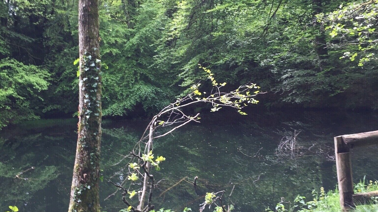Photo of Outdoor in Belle-Isle-en-Terre