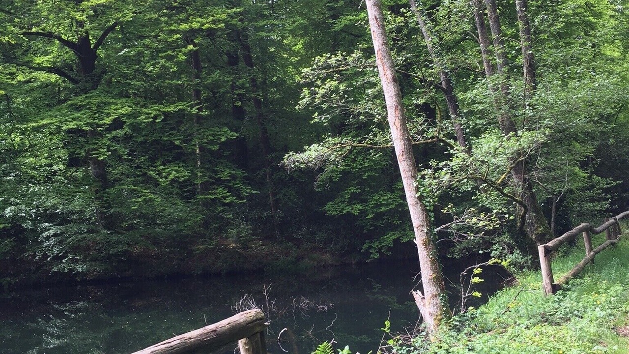 Photo of Outdoor in Belle-Isle-en-Terre