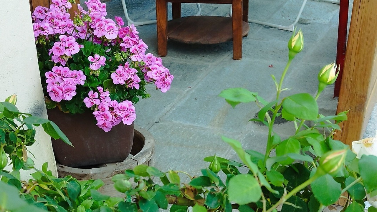 Photo of Outdoor in Manigod