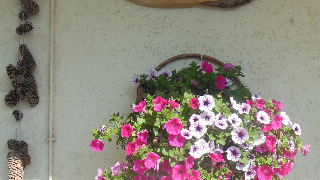 Photo of Outdoor in Manigod