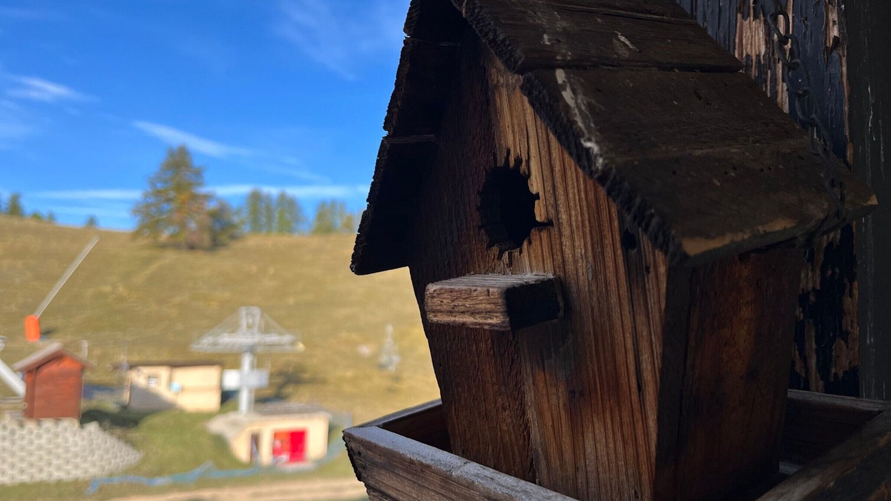 Photo of Outdoor in Le Super-Sauze