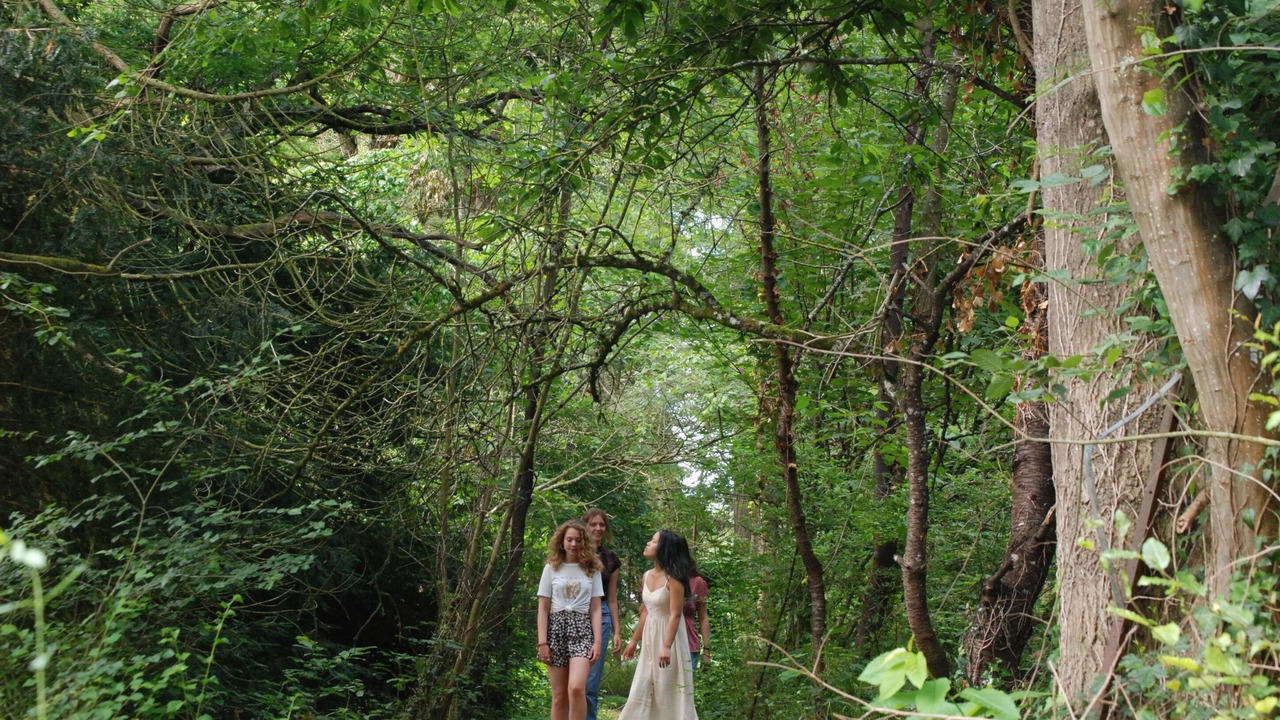 Photo of Outdoor in Villeblevin