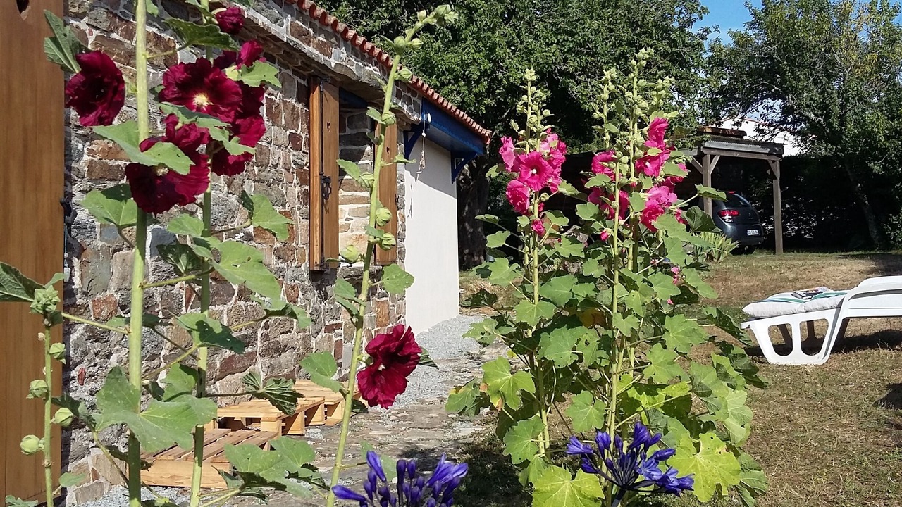 Photo of Outdoor in Pornic