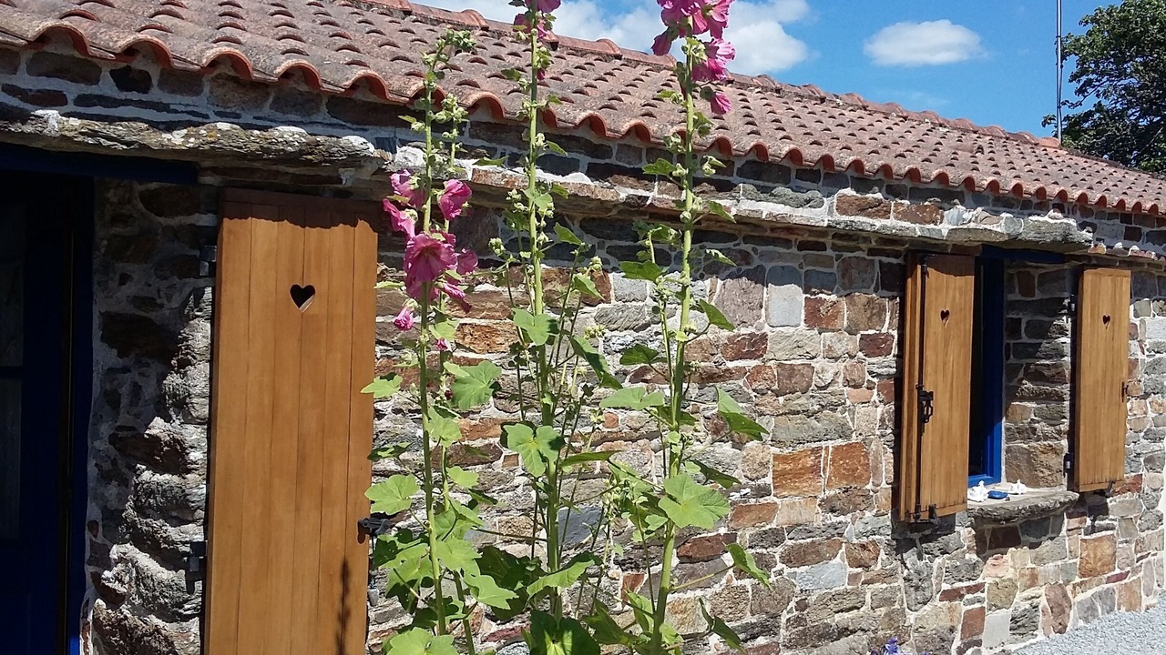 Photo of Outdoor in Pornic