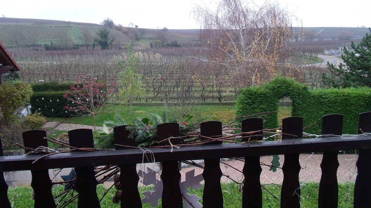 Photo of Outdoor in Bennwihr