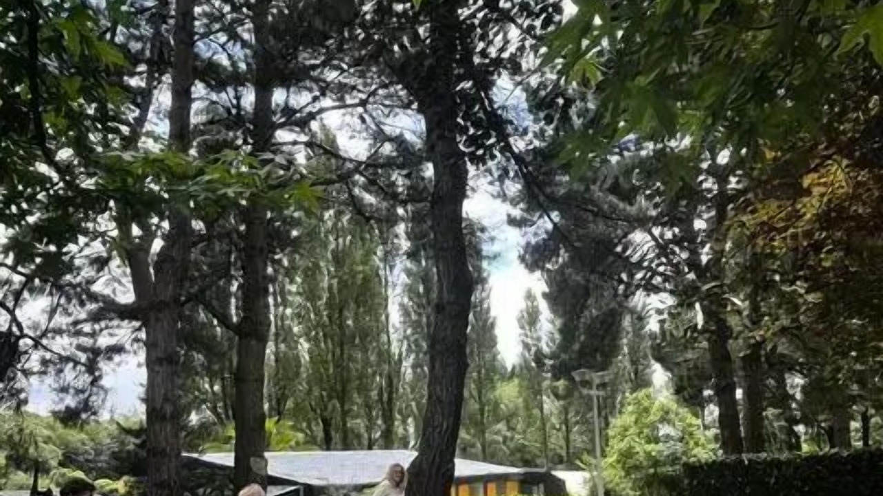 Photo of Others in Tredrez-Locquemeau