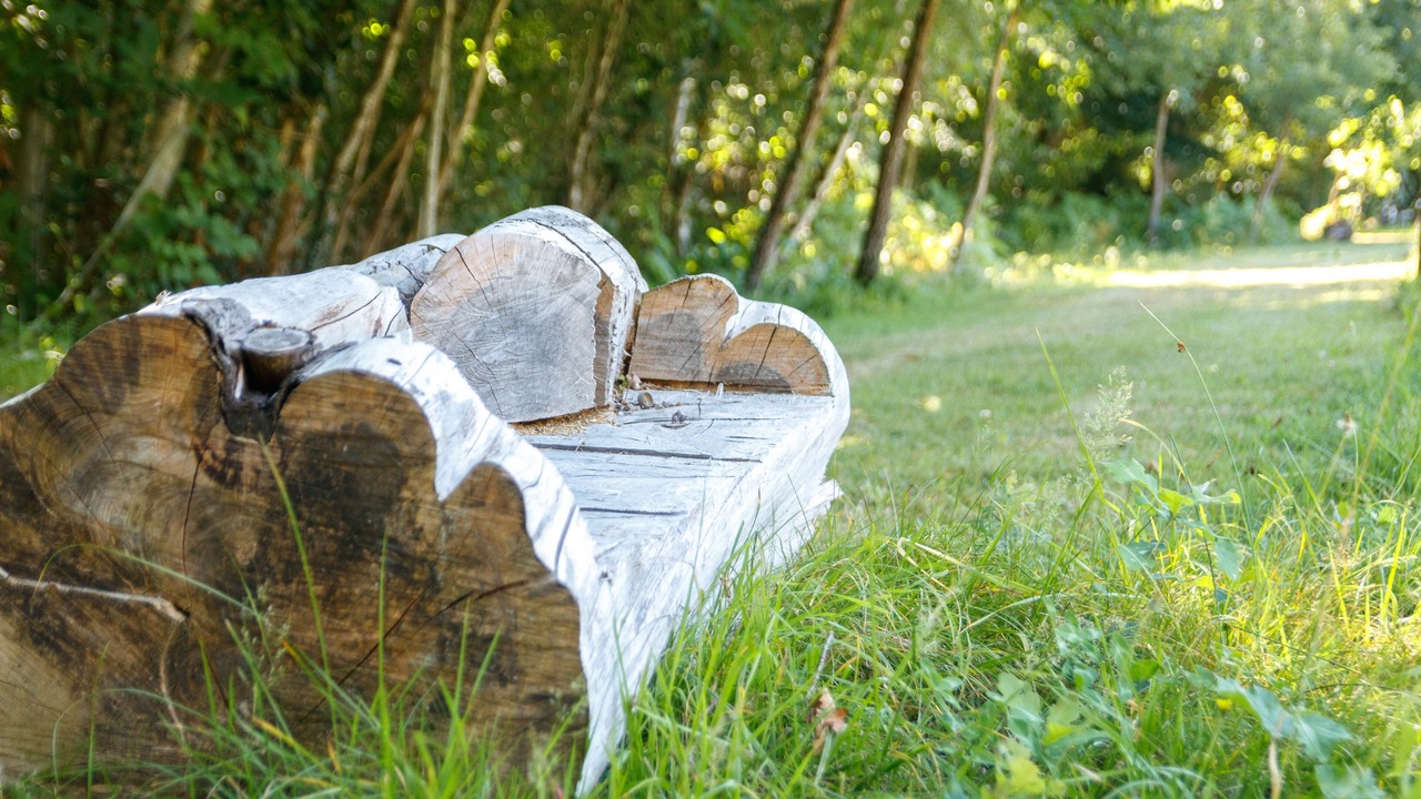 Photo of Outdoor in Eyliac