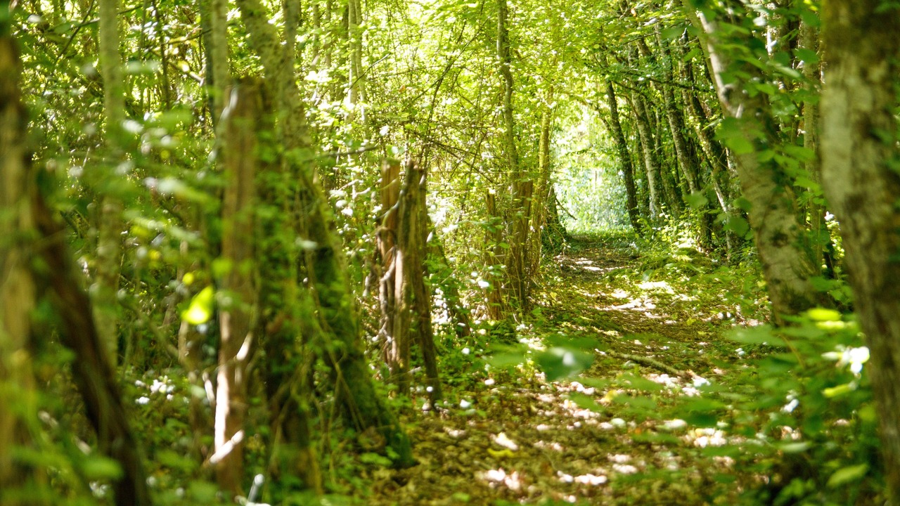 Photo of Outdoor in Eyliac