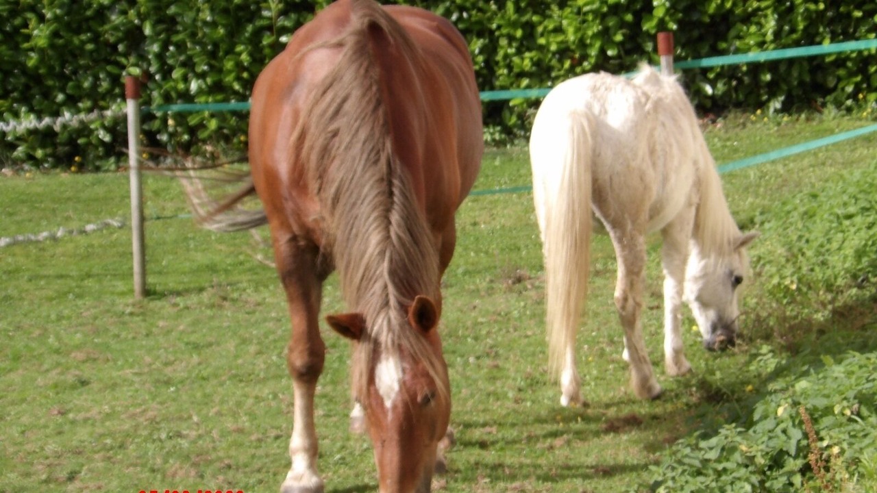 Photo of Outdoor in Coatascorn