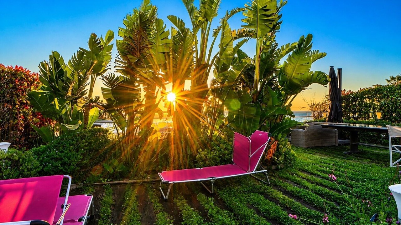 Photo of Outdoor in Beausoleil