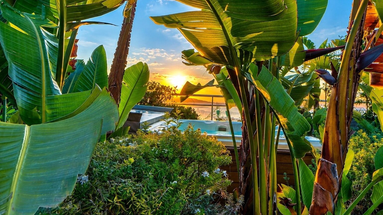 Photo of Outdoor in Beausoleil