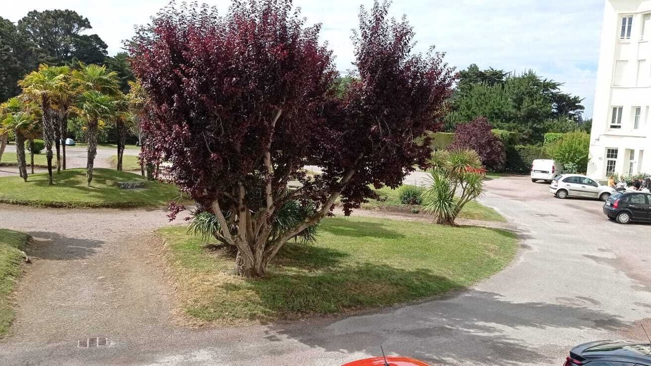 Photo of Outdoor in Sables-d'Or-les-Pins