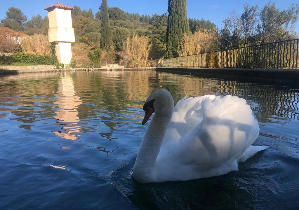 Photo of Outdoor in Sollies Pont