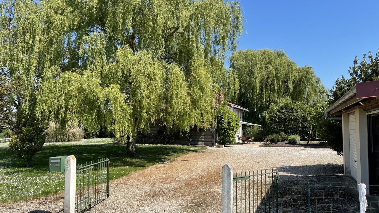 Photo of Outdoor in Lentilles