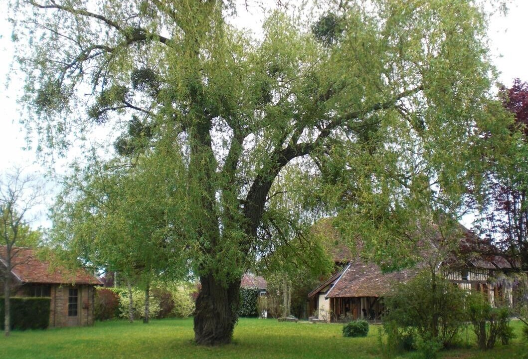 Photo of Outdoor in Lusigny-sur-Barse