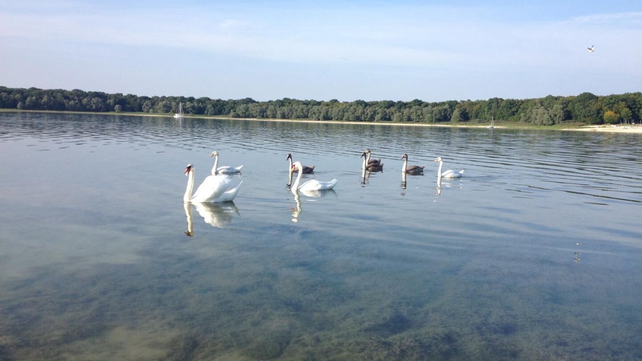 Photo of Outdoor in Lusigny-sur-Barse