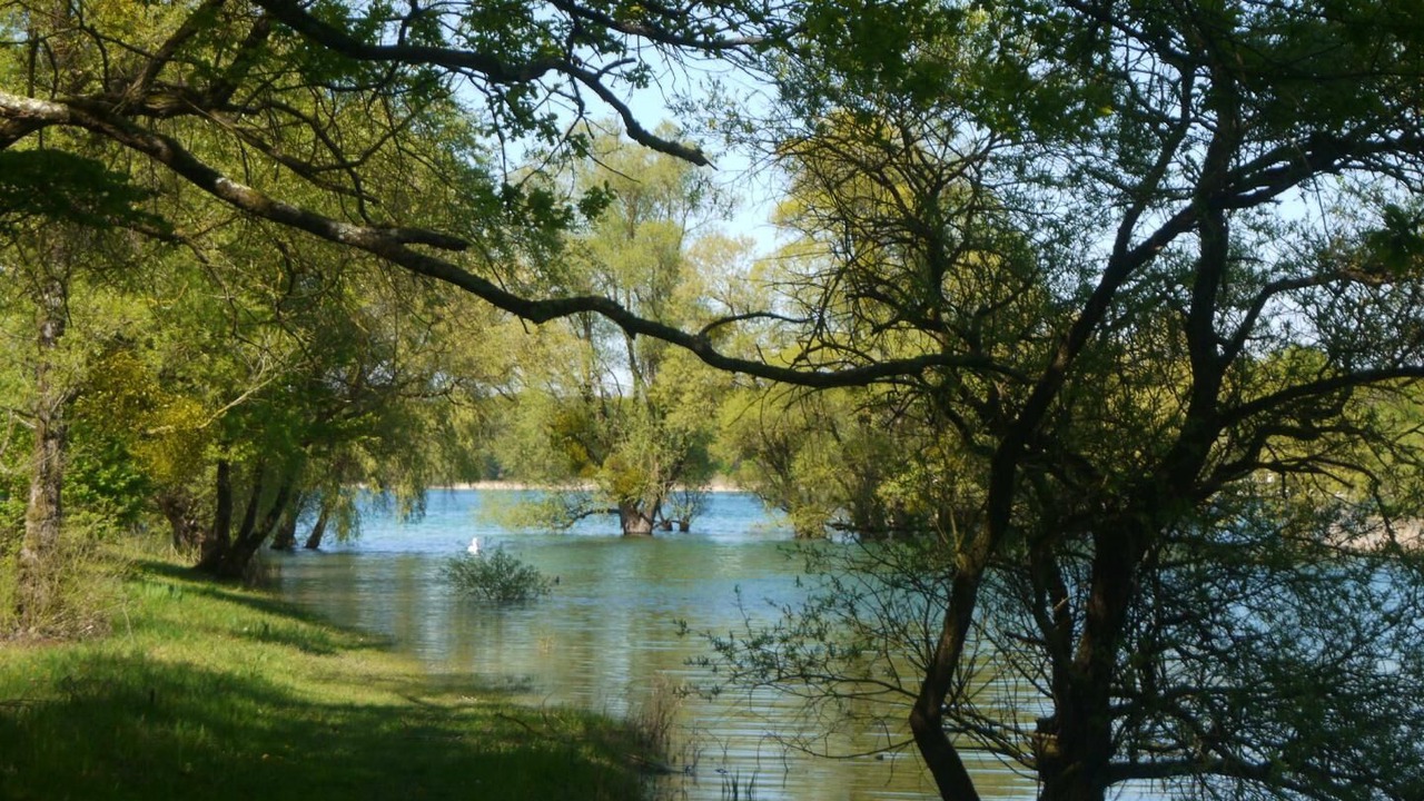 Photo of Others in Lusigny-sur-Barse