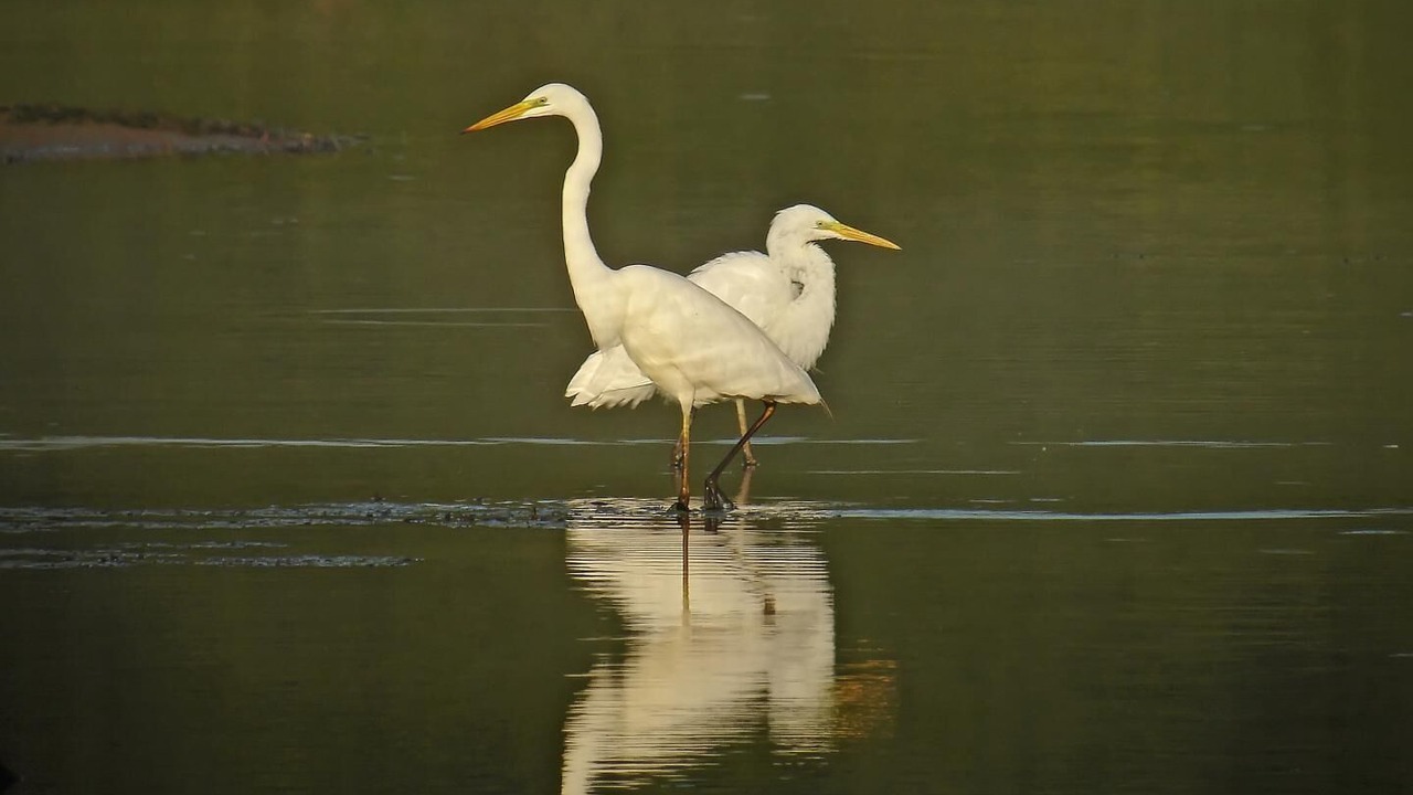 Photo of Outdoor in Lusigny-sur-Barse