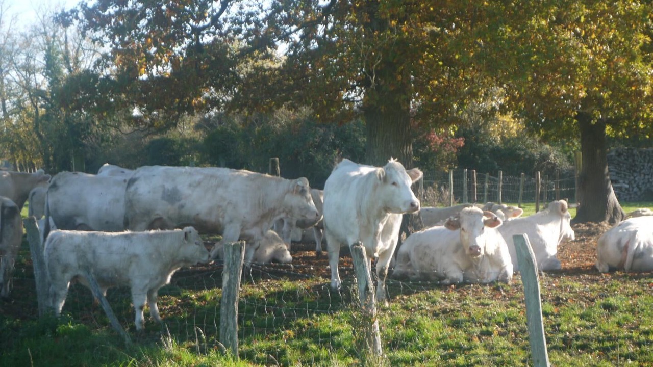 Photo of Outdoor in Lusigny-sur-Barse