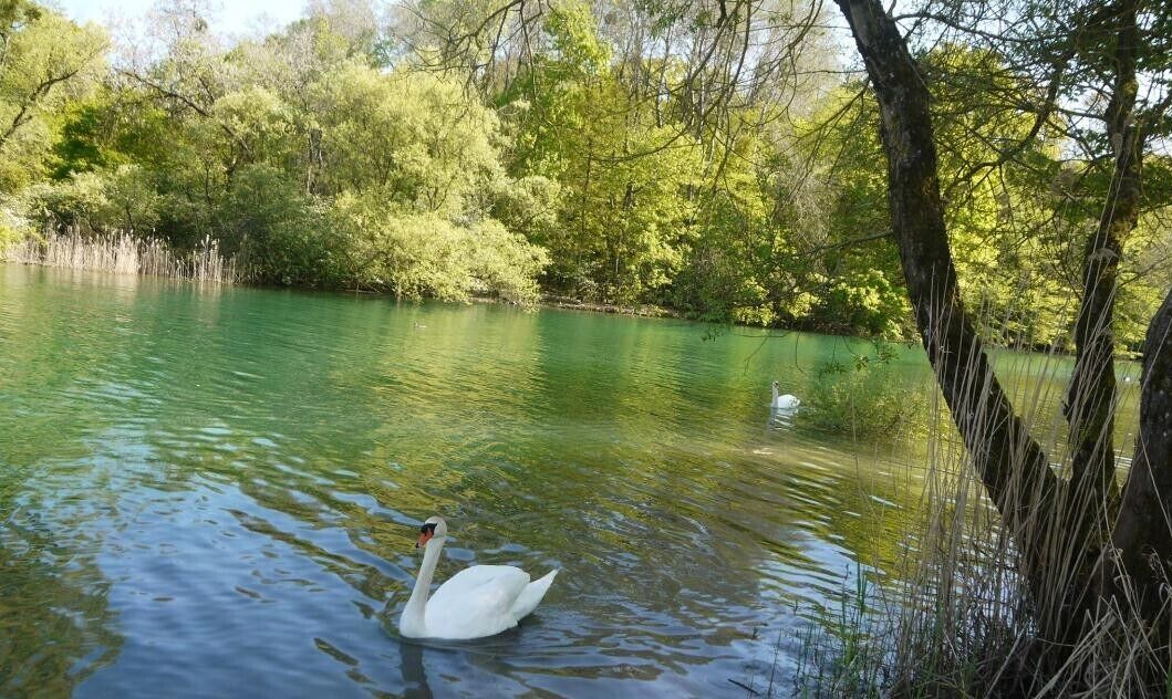 Photo of Outdoor in Lusigny-sur-Barse