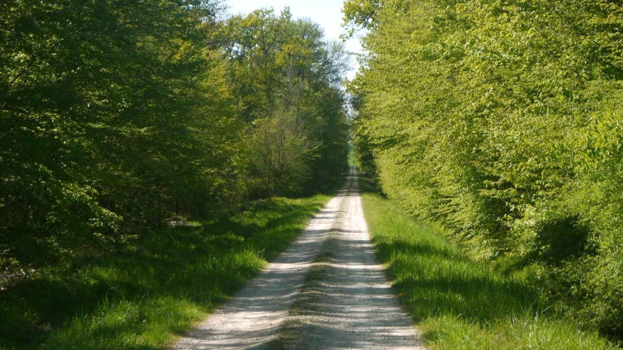 Photo of Outdoor in Lusigny-sur-Barse