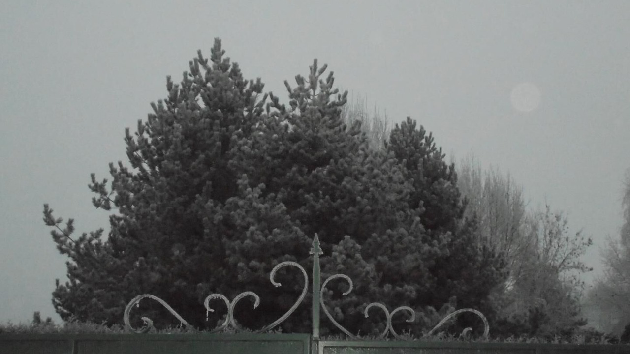 Photo of Others in Romilly-sur-Seine
