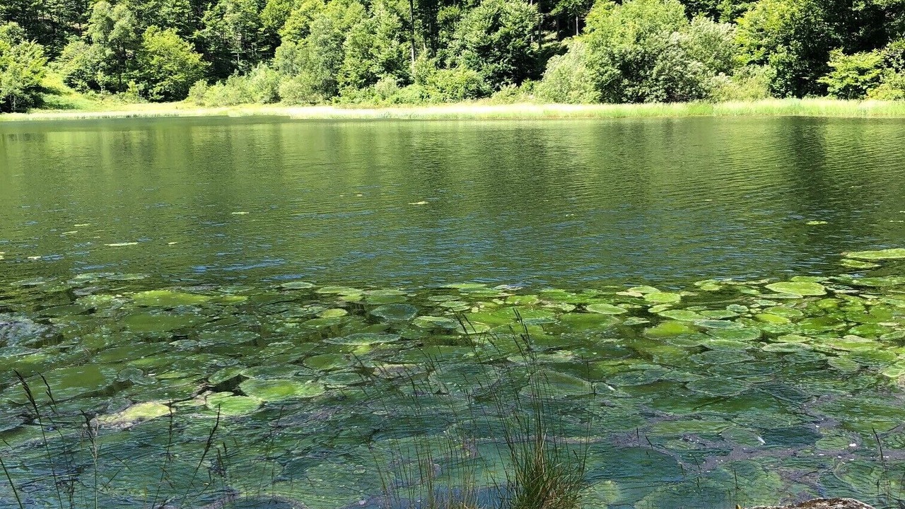 Photo of Others in Montferrier