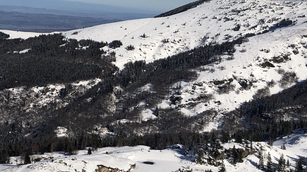 Photo of Others in Montferrier