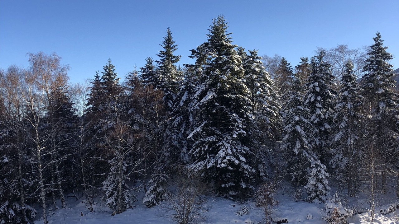 Photo of Others in Montferrier